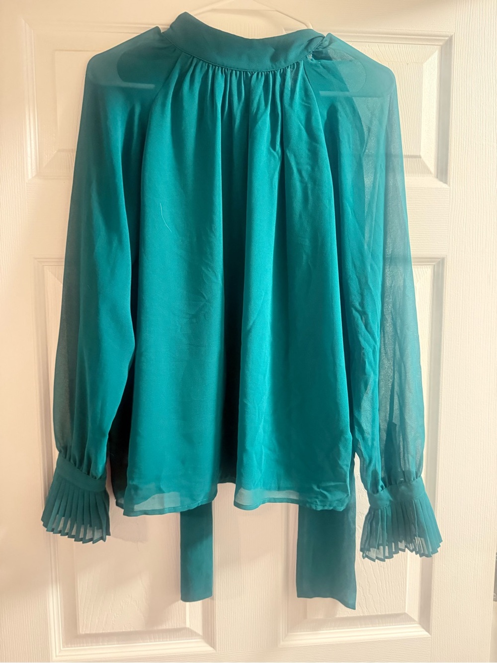Ann Taylor teal tie neck (back) pleated cuff shear blouse